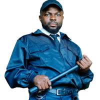Traffic & Site Control image
